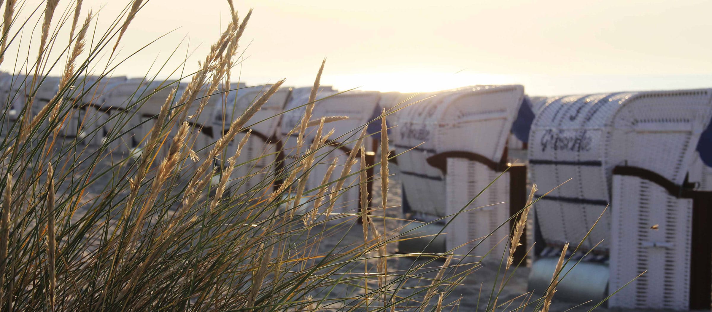 Ostseestrand an der Ostseeklinik Grömitz, Klinik für Mutter-Kind-Kur und Vater-Kind-Kur: im Vordergrund Nahaufnahme von Strandhafer im Sonnenuntergang, dahinter unscharfe Strandkörbe.